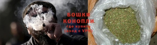сатива Балахна