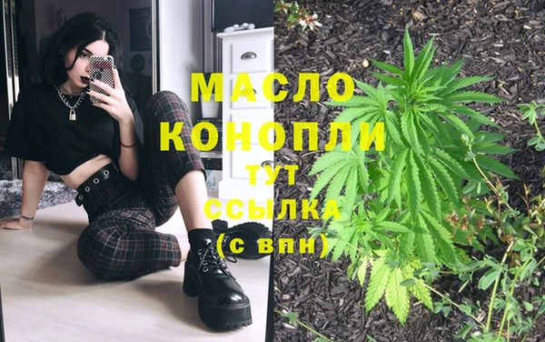 сатива Балахна
