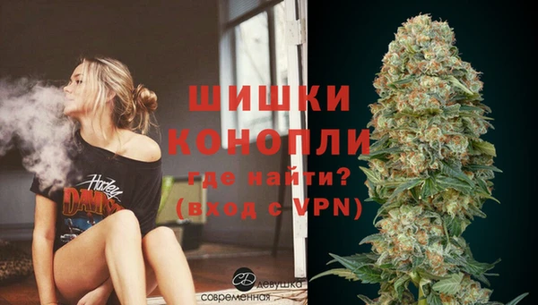 сатива Балахна
