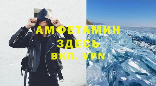 сатива Балахна